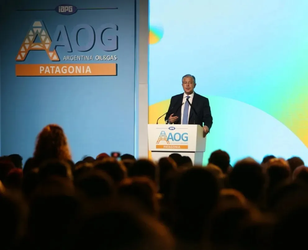 Figueroa llamó a complementar a las provincias para competir en el mercado energético global
