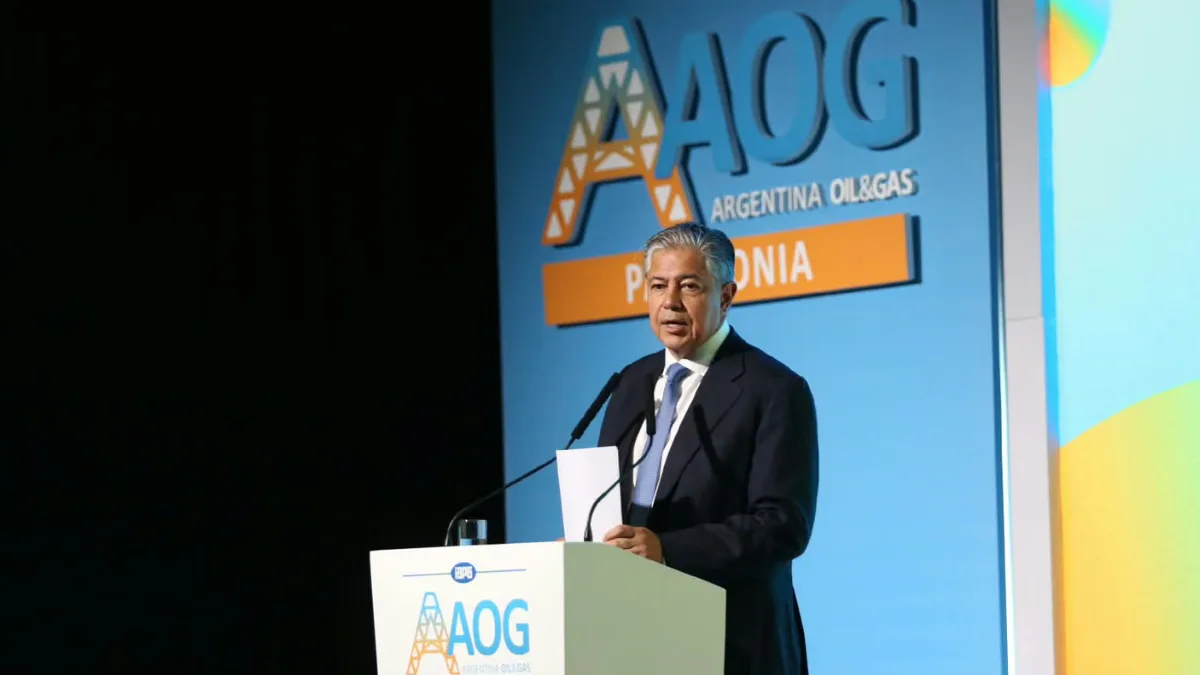 Figueroa: Vaca Muerta no es una lámpara de Aladino y exige condiciones para desarrollarse