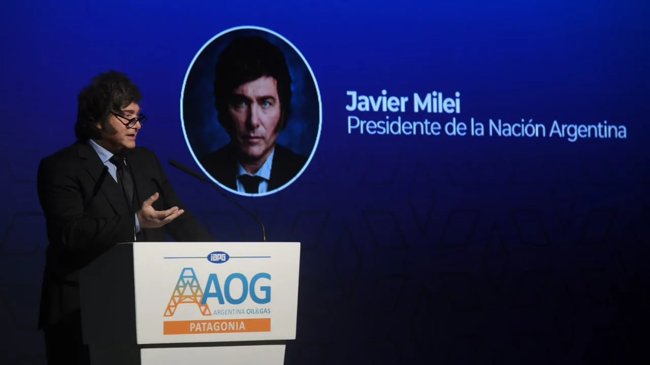 Milei defendió el RIGI y puso a Neuquén como ejemplo para replicar en el país