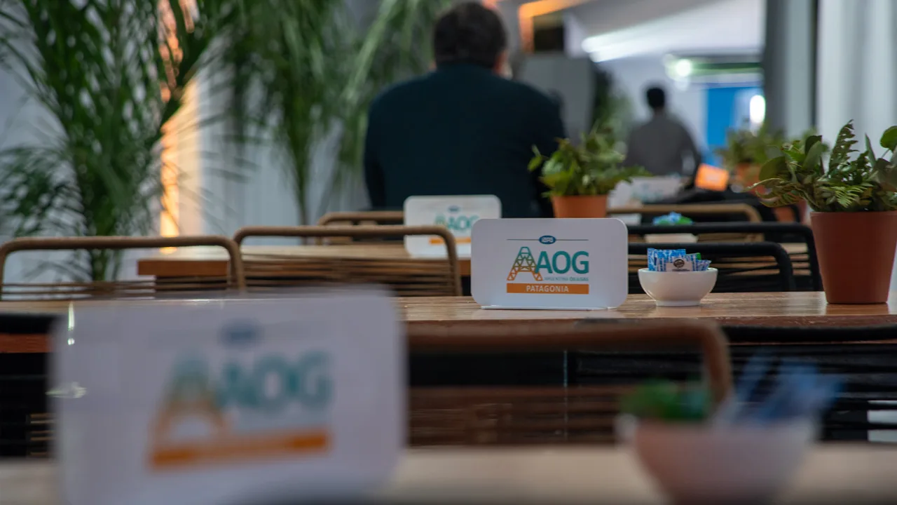AOG Patagonia 2026 cierra con foco en financiamiento y proyectos de exportación